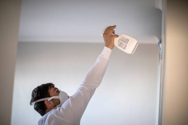 Best Mold Cleaning Services  in Bull Valley, IL